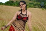 Anushka Hot Gallery - 10 of 74