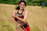 Anushka Hot Gallery - 20 of 74