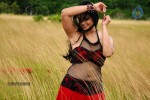 Anushka Hot Gallery - 51 of 74