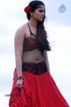 Anushka Hot Gallery - 52 of 74