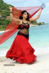 Anushka Hot Gallery - 55 of 74