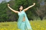 Anushka Hot Photos - 4 of 52