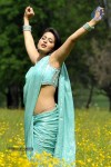 Anushka Hot Photos - 8 of 52