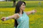 Anushka Hot Photos - 31 of 52