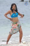 Bindu Madhavi Hot Photos - 7 of 102