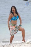Bindu Madhavi Hot Photos - 31 of 102