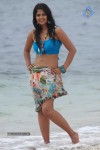 Bindu Madhavi Hot Photos - 39 of 102