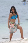 Bindu Madhavi Hot Photos - 57 of 102