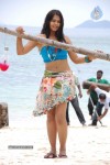 Bindu Madhavi Hot Photos - 61 of 102