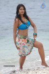 Bindu Madhavi Hot Photos - 75 of 102