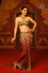 Divya Spicy Stills - 7 of 94