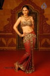 Divya Spicy Stills - 22 of 94