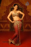 Divya Spicy Stills - 84 of 94