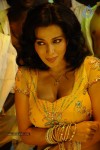 Flora Saini Spicy Stills - 67 of 69