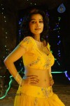 Flora Saini Spicy Stills - 69 of 69
