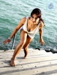 Jagan Movie Hot Stills - 12 of 39