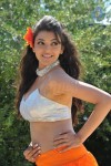 Kajal Agarwal Hot Photos - 40 of 42