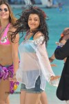 Kajal Agarwal Hot Stills - 5 of 36