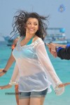 Kajal Agarwal Hot Stills - 23 of 36