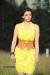 Kajal Agarwal New Hot Photos - 35 of 50