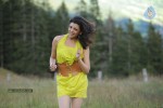 Kajal Agarwal New Hot Photos - 49 of 50