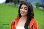 Kajal Agarwal Spicy Photos - 6 of 55