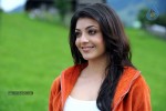 Kajal Agarwal Spicy Photos - 51 of 55