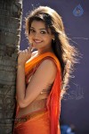 Kajal Agarwal Spicy Stills - 59 of 74