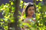 Kajal Agarwal Spicy Stills - 73 of 74