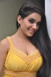 Kavya Singh Spicy Gallery - 54 of 76