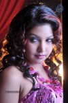 Komal Jha Hot Photos - 4 of 40