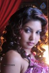 Komal Jha Hot Photos - 9 of 40