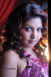 Komal Jha Hot Photos - 17 of 40