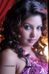 Komal Jha Hot Photos - 31 of 40