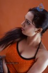 Lakshmi Chandrika Spicy Pics - 40 of 134