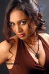 Lakshmi Chandrika Spicy Pics - 42 of 134