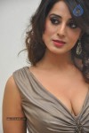 Mahi Gill Hot Stills - 2 of 81