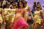 Mallika Sherawat Spicy Stills - 35 of 41