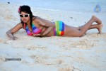 Komal Jha Spicy Gallery - 45 of 106