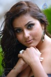 Namitha New Spicy Photos - 83 of 87