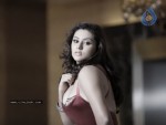 Namitha Spicy Photos - 7 of 14