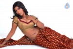 Navaneetha Hot Gallery - 1 of 61