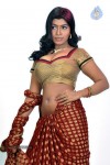 Navaneetha Hot Gallery - 42 of 61