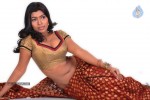 Navaneetha Hot Gallery - 48 of 61