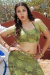 Neelam Upadhyay Hot Photos - 30 of 53