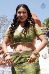 Neelam Upadhyay Hot Photos - 40 of 53