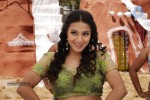 Neelam Upadhyay Hot Photos - 44 of 53