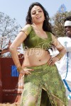 Nisha Agarwal Spicy Pics - 22 of 120