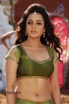 Nisha Agarwal Spicy Pics - 30 of 120