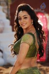 Nisha Agarwal Spicy Pics - 98 of 120